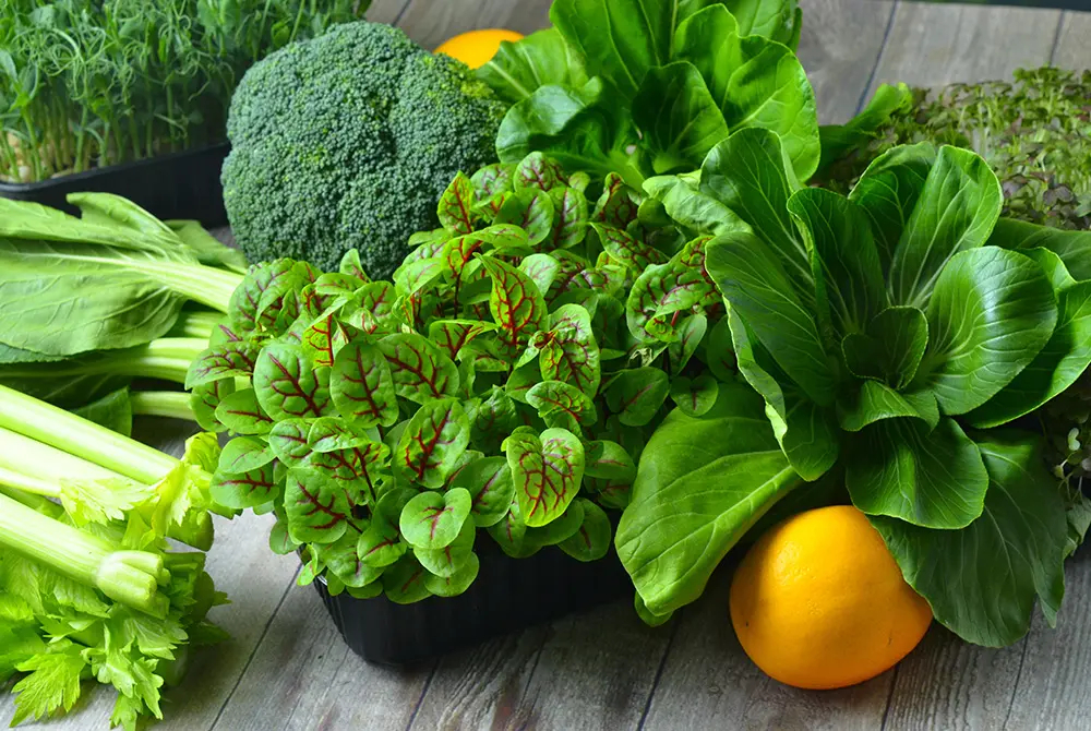 ブロッコリーや葉物野菜などの新鮮な野菜