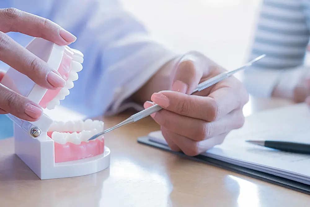 歯科医師が歯の模型を使って治療内容を説明している様子