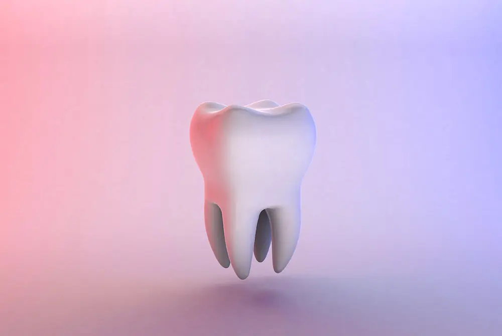 白い歯の立体イメージと一部が赤く示された部分