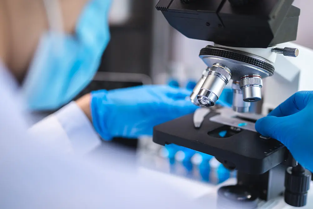 顕微鏡で試料を観察する研究者の手元
