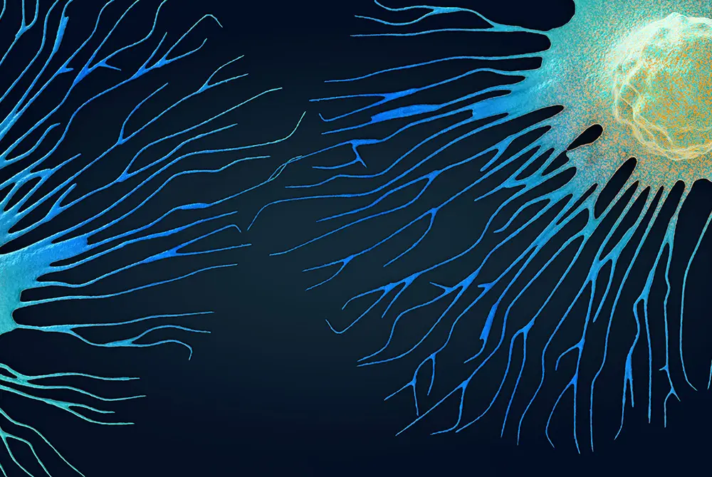 細胞の抽象的なイラスト