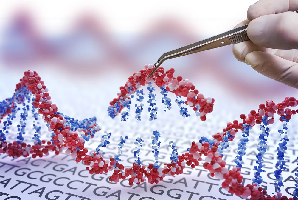 DNAの二重らせん構造を、ピンセットで操作している様子を表した図。