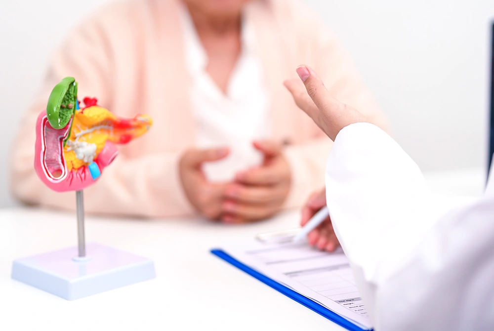 人体の腹部を示した医療イラストで、膵臓の位置が赤く強調されている。