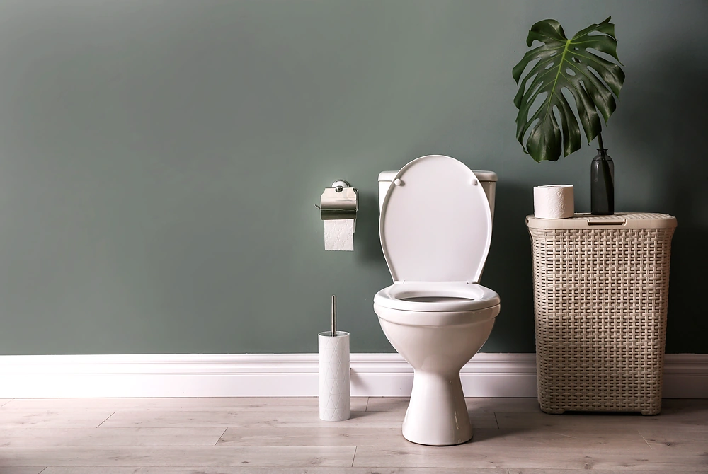 緑色の壁を背景に、便座のふたが開いた白いトイレが置かれた室内。