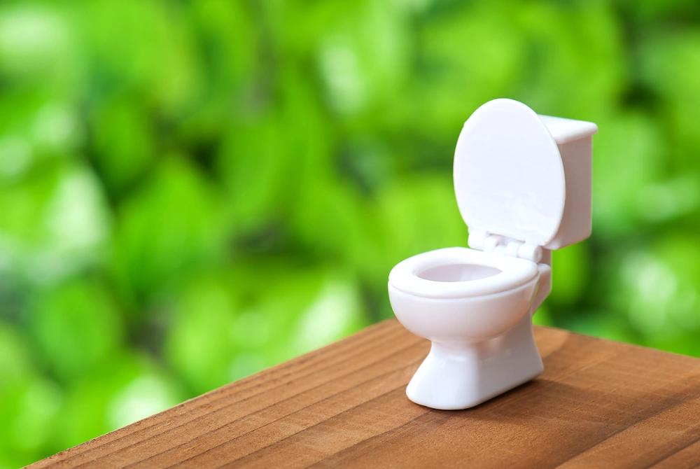 木の台の上に置かれた小型の白いトイレ模型。